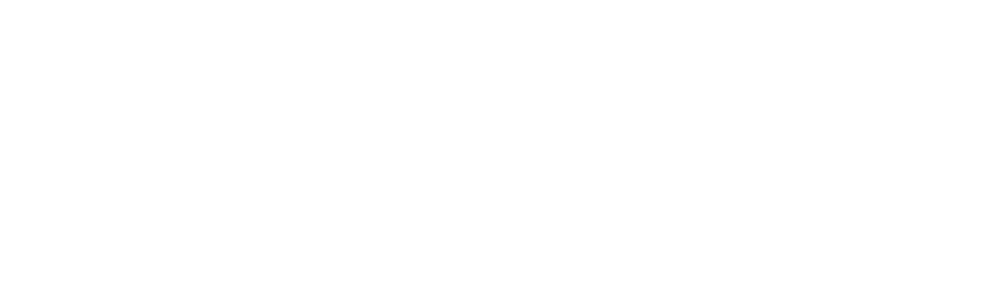Team System Commerce